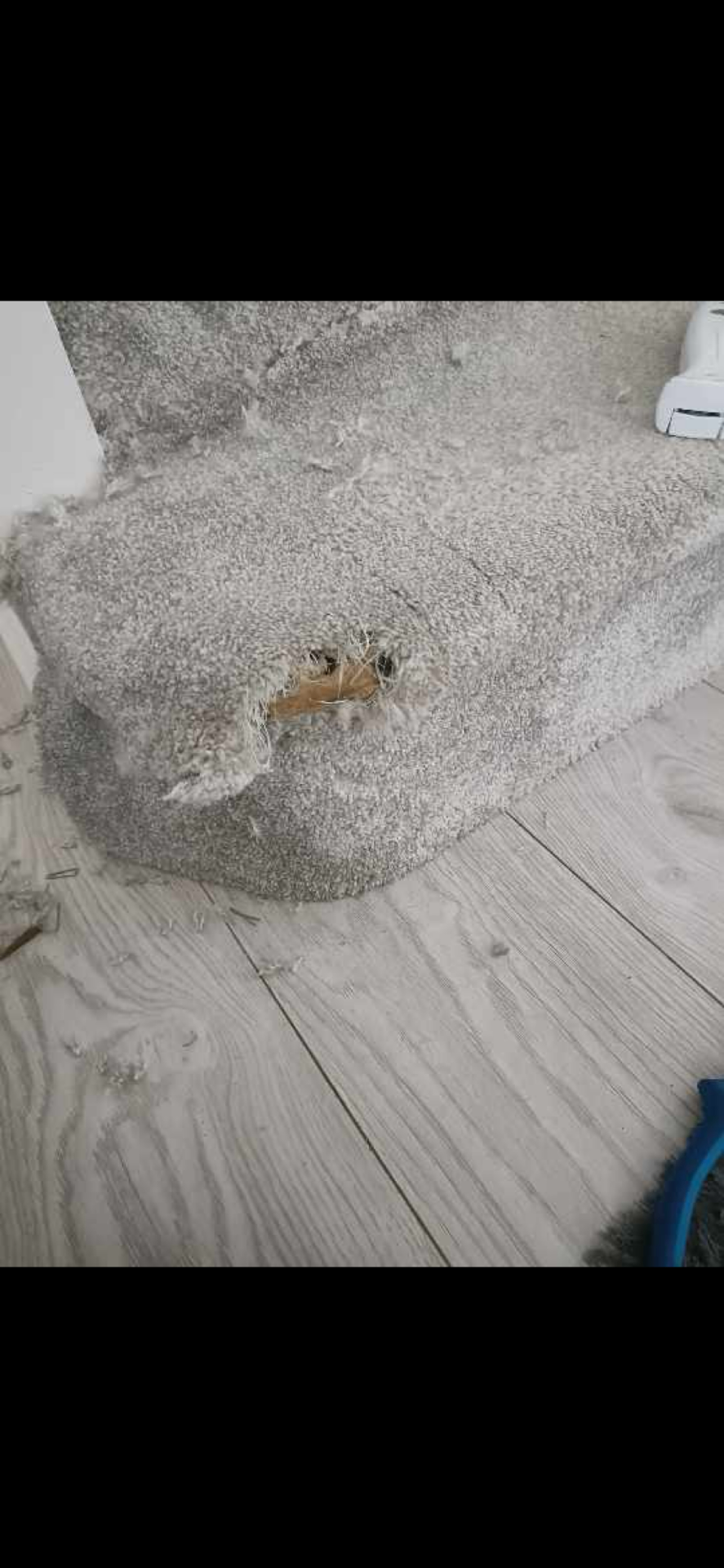 Carpet repair on stairs in Stafford, before professional cleaning