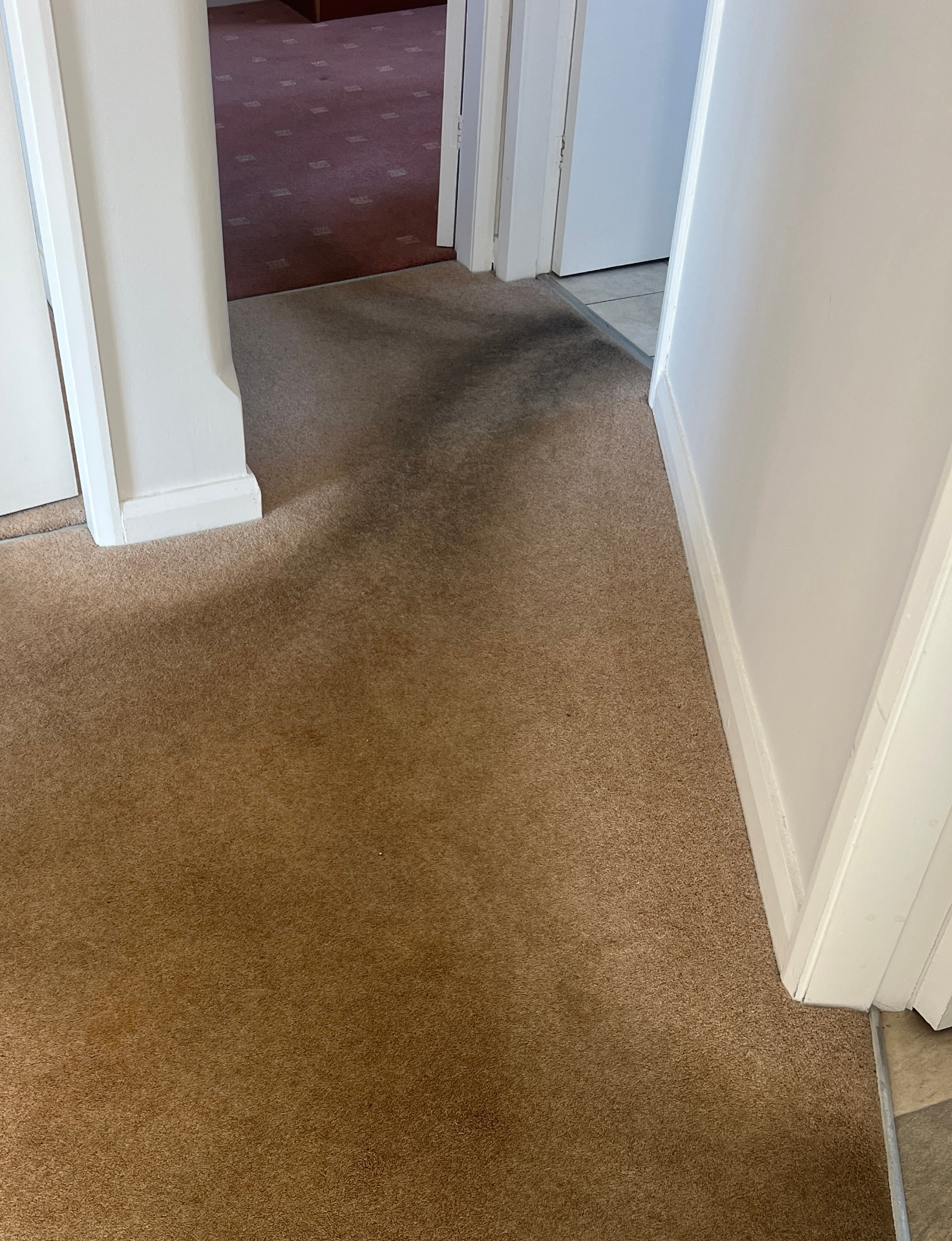 Hallway carpet stain removal before and after in Stafford, before professional cleaning